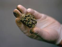 Revolution Dispensary: Commitment To Consistency And Care