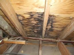 Roof Leak in Omaha: How to Find the Source and Know When to Replace